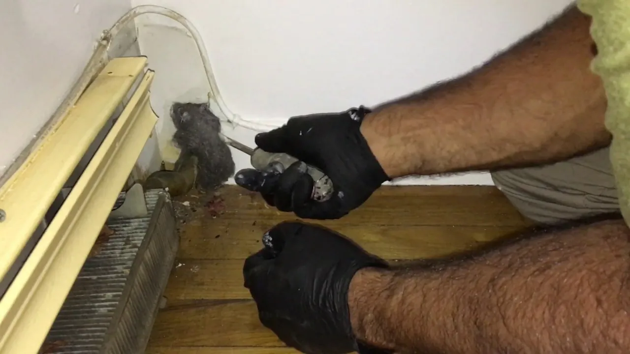 Stop Using Spray Foam for Mice. They Eat It.