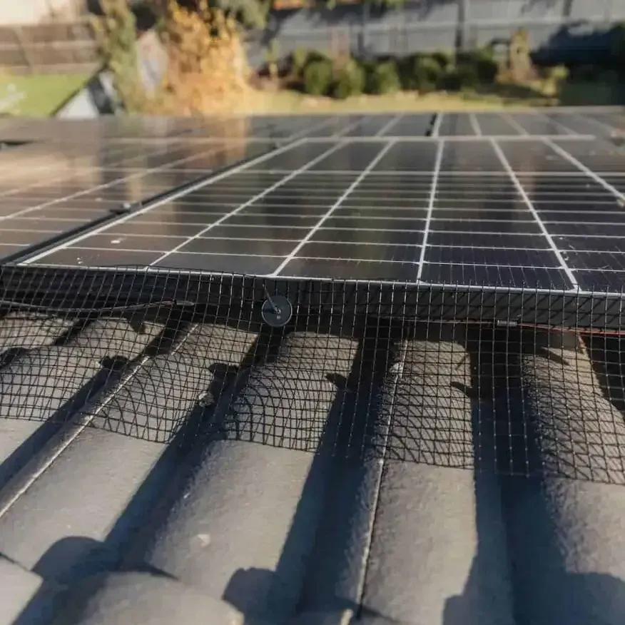 Solar Panels Are a Roof's Best Friend... And a Pigeon's Toilet.