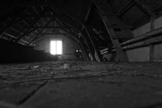 Attic Hazards: Asbestos, Insulation, and Rodents